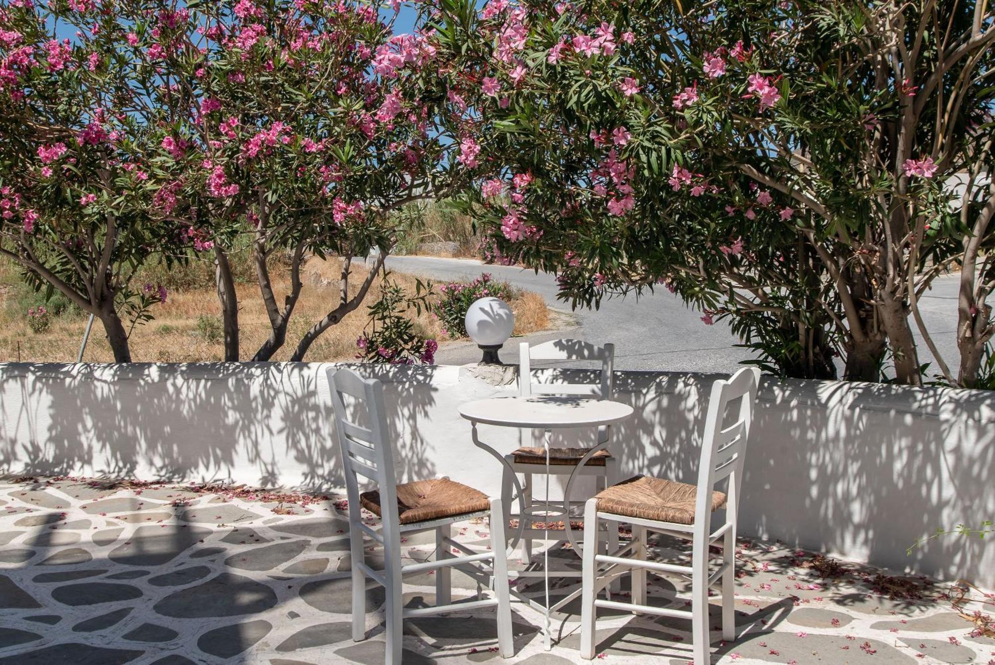 Adelfia Apartment Parikia (Paros)