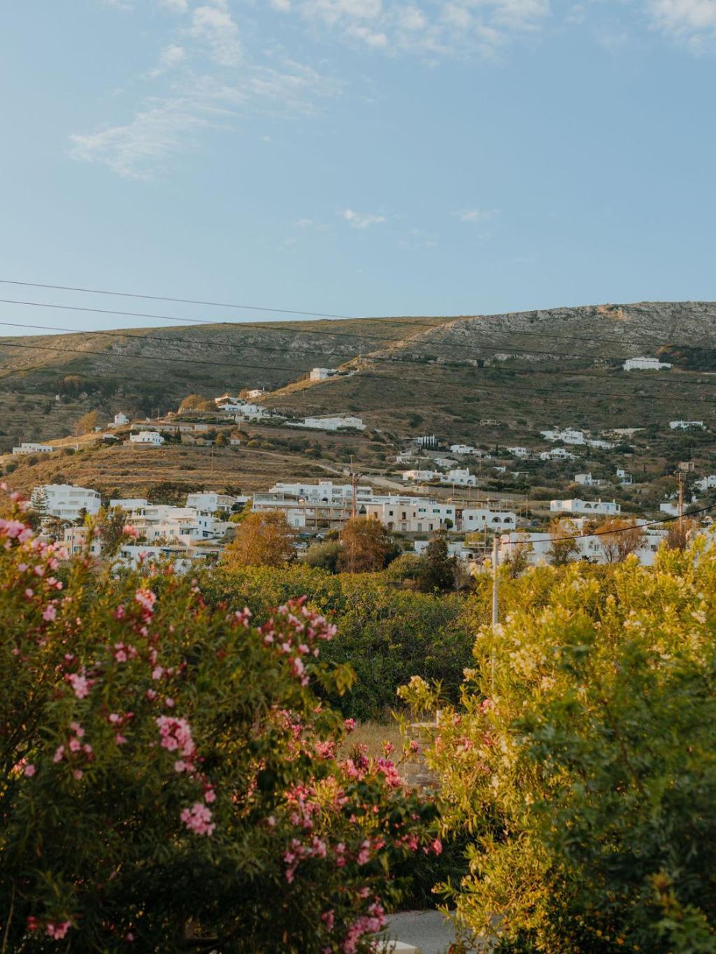 Adelfia * Parikia (Paros)